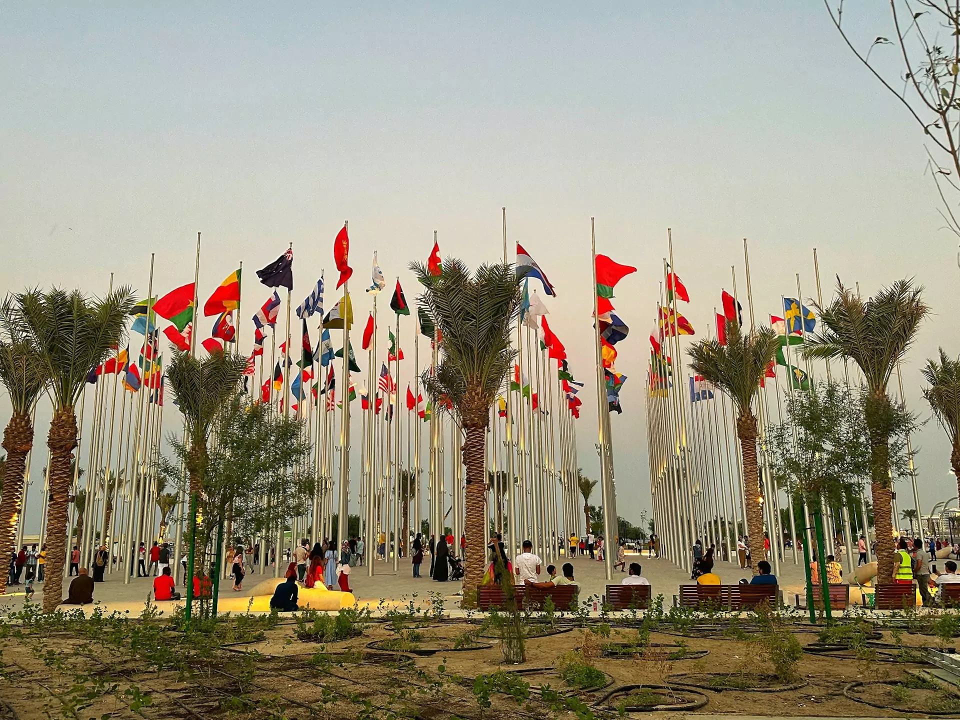 international-cooperation-program-photo